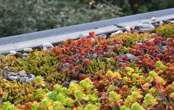 the cost of Rhostyllen green roof installation