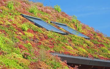 Rhostyllen living roof systems