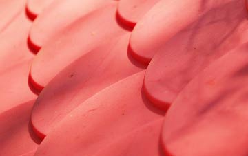 Rhostyllen plastic roof costs