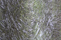 Rhostyllen fibreglass roof work